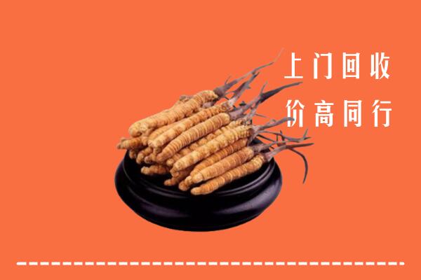 高价求购：十堰市房县回收散虫草