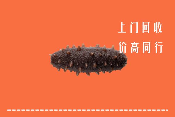 十堰市房县回收海参