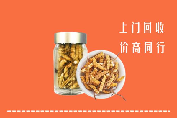 十堰市房县回收冬虫夏草