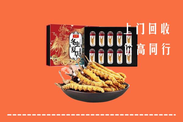 十堰市房县回收虫草